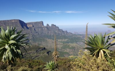 Simien Mountain Trekking 2 Days
